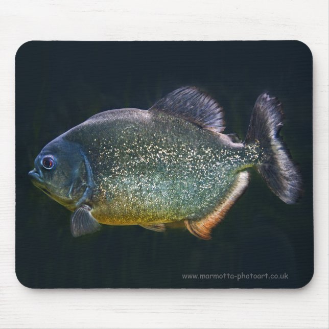 Piranha Mousemat (Front)