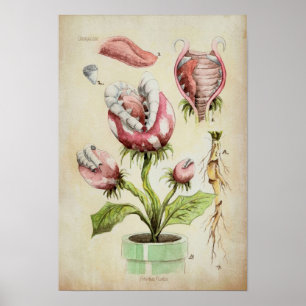 Piranha Plant Botanical Illustration Poster