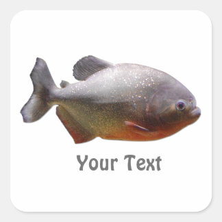 Piranha South American Fish Square Sticker