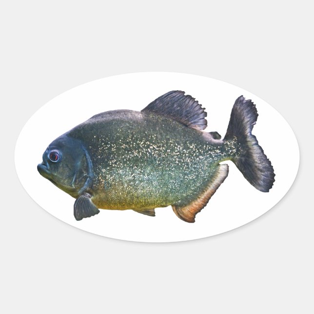 Piranha Sticker (Front)
