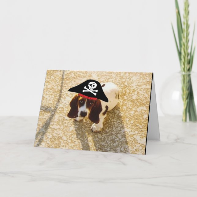 Pirate Bassett Hound Cards (Front)