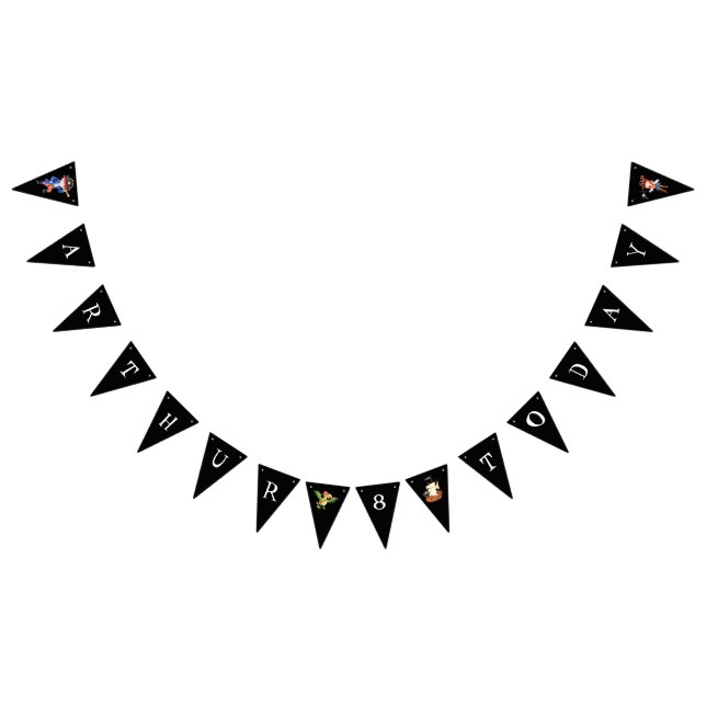 Pirate birthday themed party treasure parrot bunting  (All)