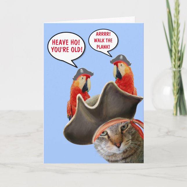 Pirate Cat And Rude Parrots Funny Birthday Card (Front)