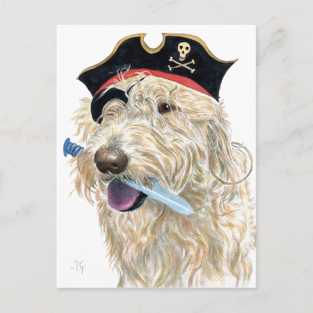 Pirate Cream Labradoodle Postcard (Front)