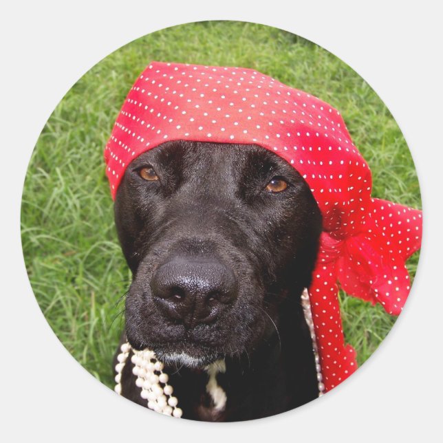 Pirate dog, black lab, red hankerchief green grass classic round sticker (Front)