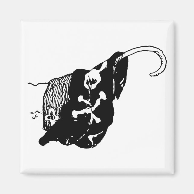 Pirate Hook Magnet (Front)