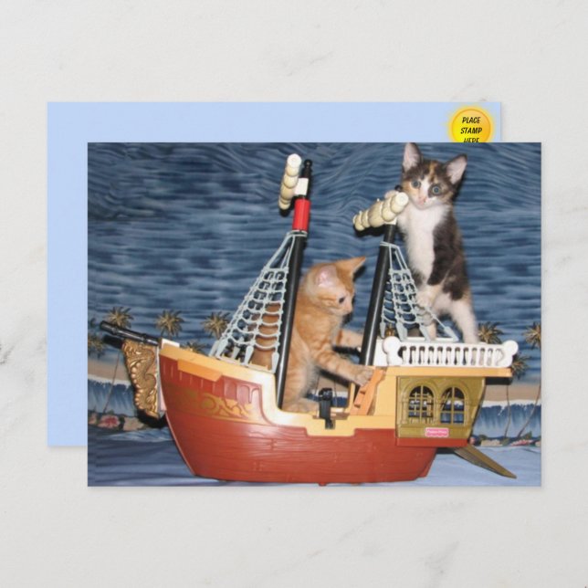 Pirate Kittens Postcard (Front/Back)