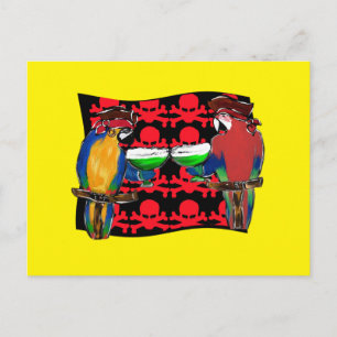PIRATE PARROTS POSTCARD