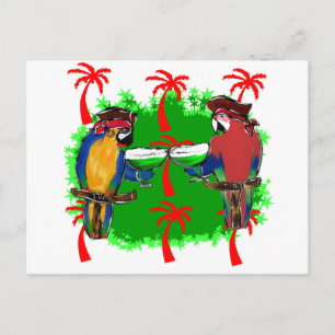 PIRATE PARROTS POSTCARD