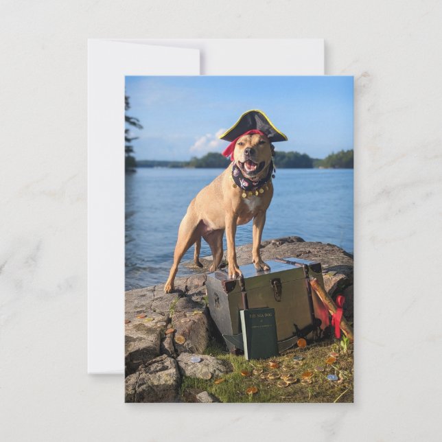 Pirate Sea Dog costume book Funny Dog Photo Card (Front)