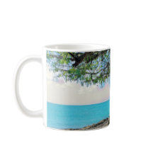 Pirate Ship Sailing in Aruba Malmok Beach