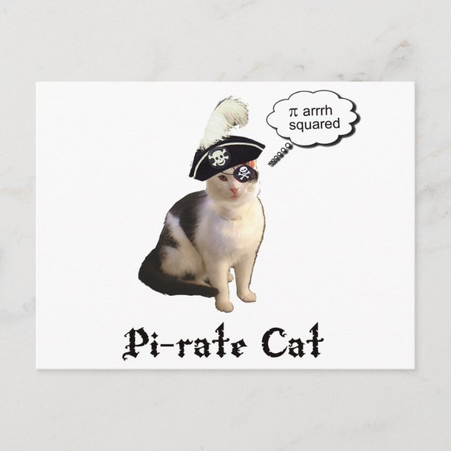 PiRateCat Postcard (Front)