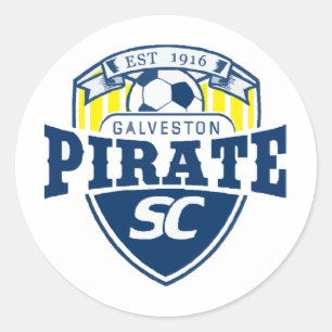 piratelogo2 classic round sticker
