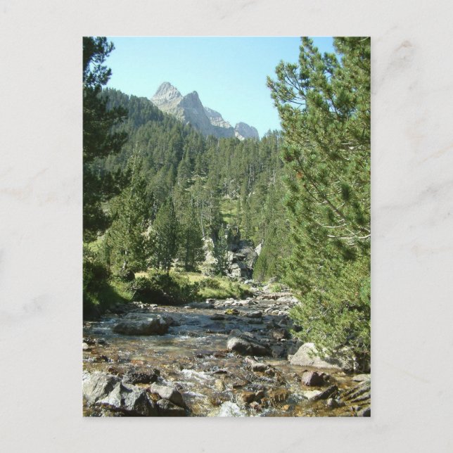 Pirineos Spain Postcard (Front)