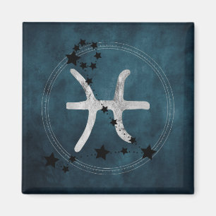 Pisces black & silver zodiac constellation stars magnet
