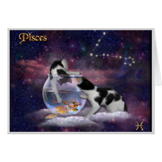 Pisces Cats ♓🐱