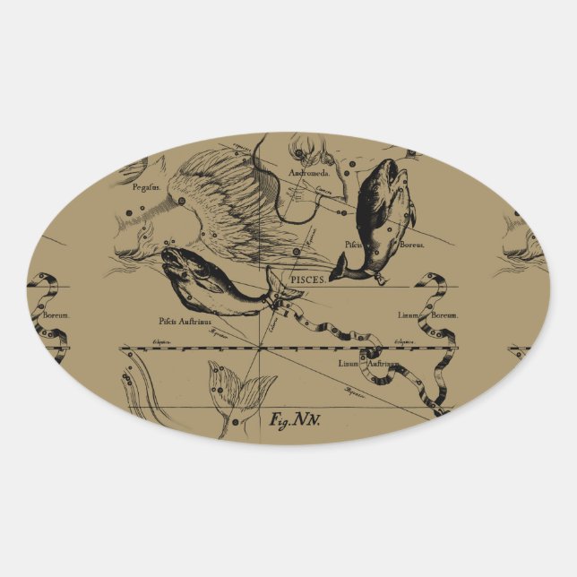 Pisces Constellation Hevelius 1690 Decor Oval Sticker (Front)