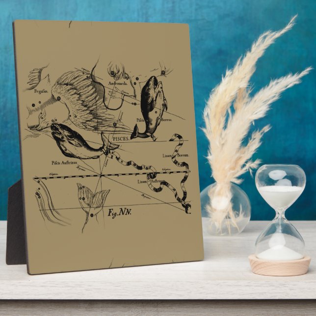 Pisces Constellation Hevelius 1690 Decor Plaque (Side)