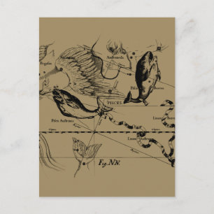 Pisces Constellation Hevelius 1690 Decor Postcard