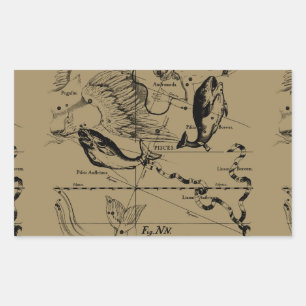 Pisces Constellation Hevelius 1690 Decor Rectangular Sticker
