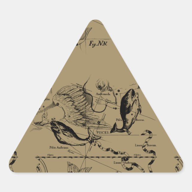 Pisces Constellation Hevelius 1690 Decor Triangle Sticker (Front)