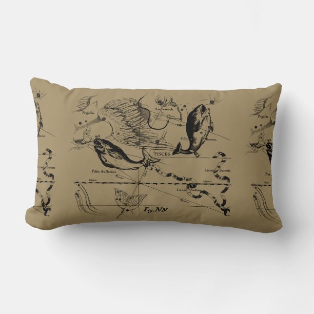 Pisces Constellation Hevelius 1690 Engraving Lumbar Cushion (Front)