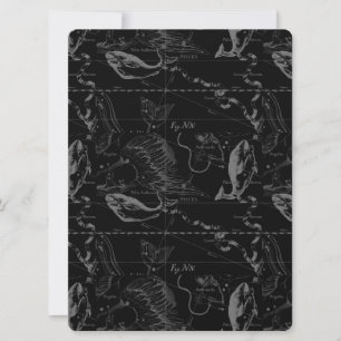 Pisces Constellation Hevelius 1690 Feb19 -March 20