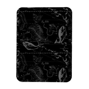 Pisces Constellation Hevelius 1690 on Black Magnet