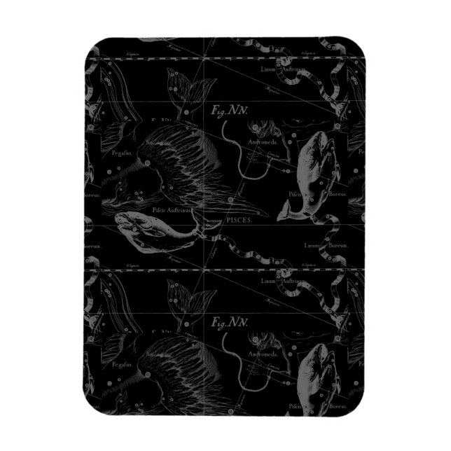 Pisces Constellation Hevelius 1690 on Black Magnet (Vertical)