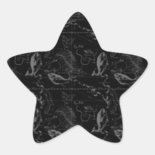 Pisces Constellation Hevelius 1690 on Black Star Sticker