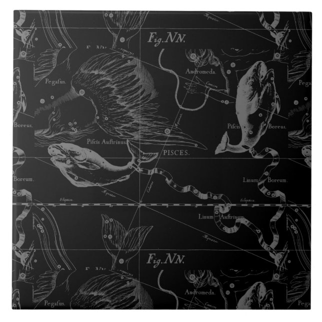 Pisces Constellation Hevelius 1690 on Black Tile (Front)