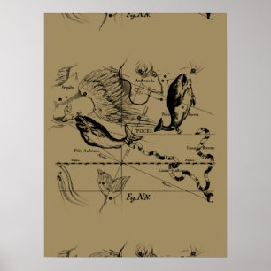 Pisces Constellation Hevelius 1690 on Taupe Poster