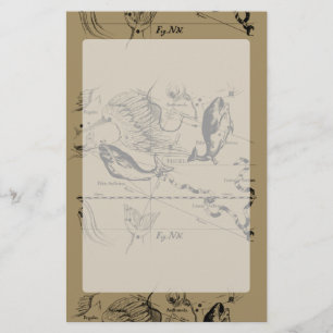 Pisces Constellation Hevelius 1690 on Taupe Stationery