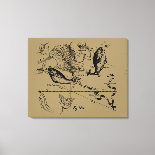 Pisces Constellation Hevelius circa 1690 Canvas Print (Front)