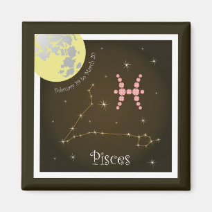 Pisces February 19 to March 20 Magnet