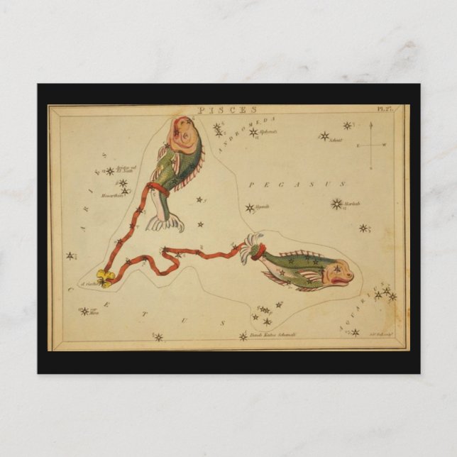 Pisces Postcard (Front)