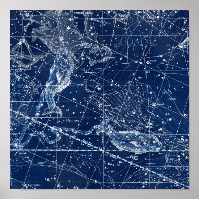 Pisces Zodiac Sign Vintage Illustration (Front)