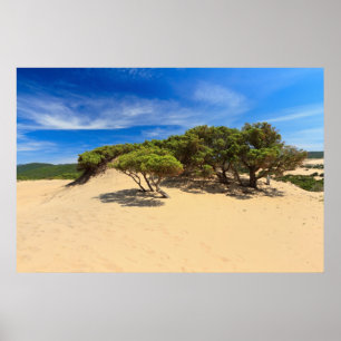 Piscinas dune - Sardinia, Italy Poster