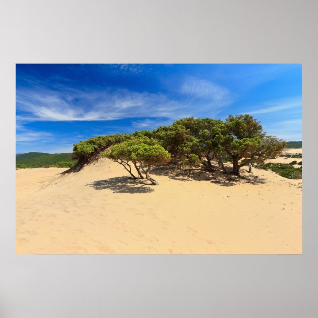 Piscinas dune - Sardinia, Italy Poster (Front)