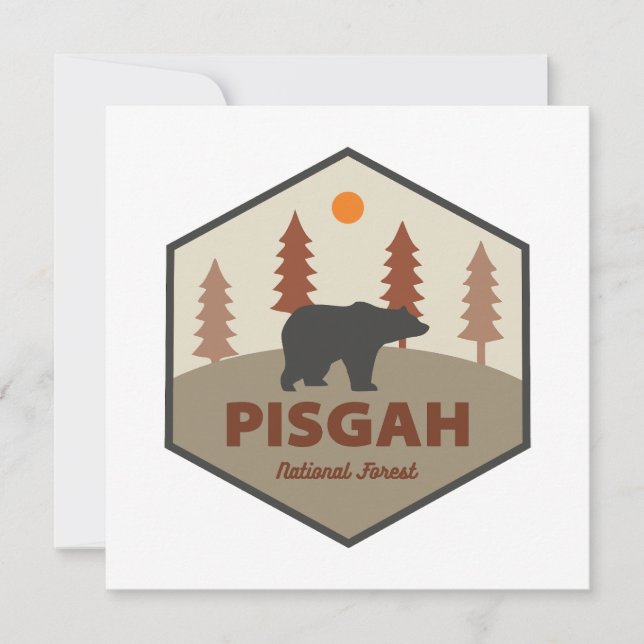 Pisgah National Forest Bear (Front)