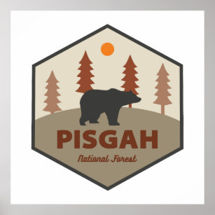Pisgah National Forest Bear Poster