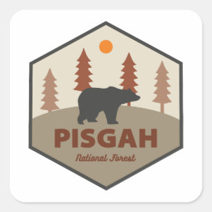 Pisgah National Forest Bear Square Sticker