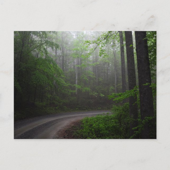 Pisgah National Forest, North Carolina postcard (Front)