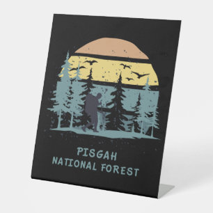 Pisgah National Forest Pedestal Sign