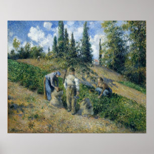 Pissarro - The Harvest Pontoise 1881 Poster
