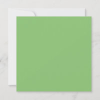 Pistachio Nut Green Solid Colour