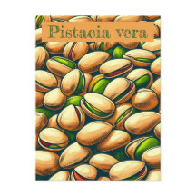 Pistachio pop art