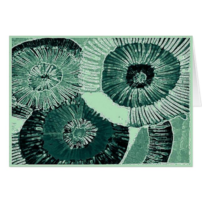 pistachio print (alt version on back) (Front Horizontal)