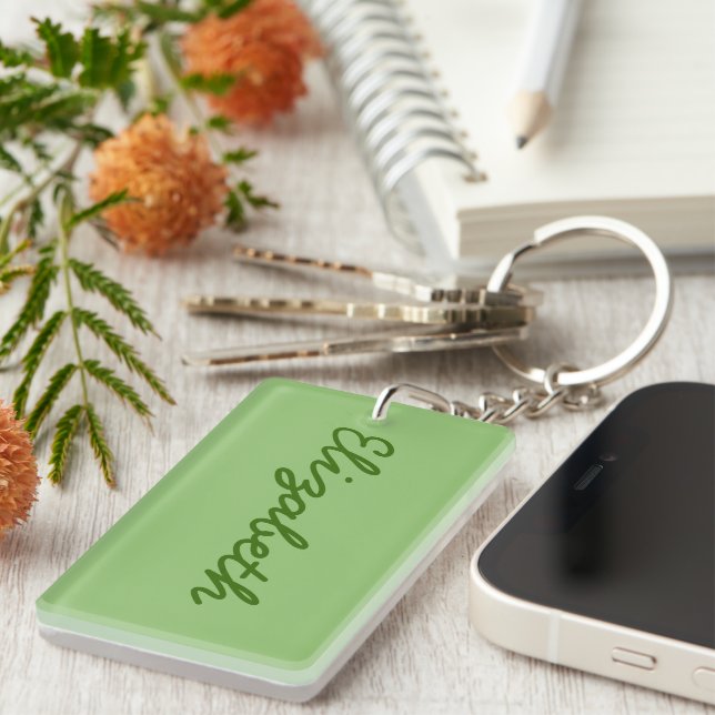 Pistachio Solid Colour Key Ring (Front Right)