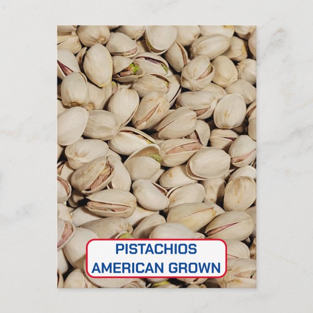 Pistachios, American Grown Postcard (Front)